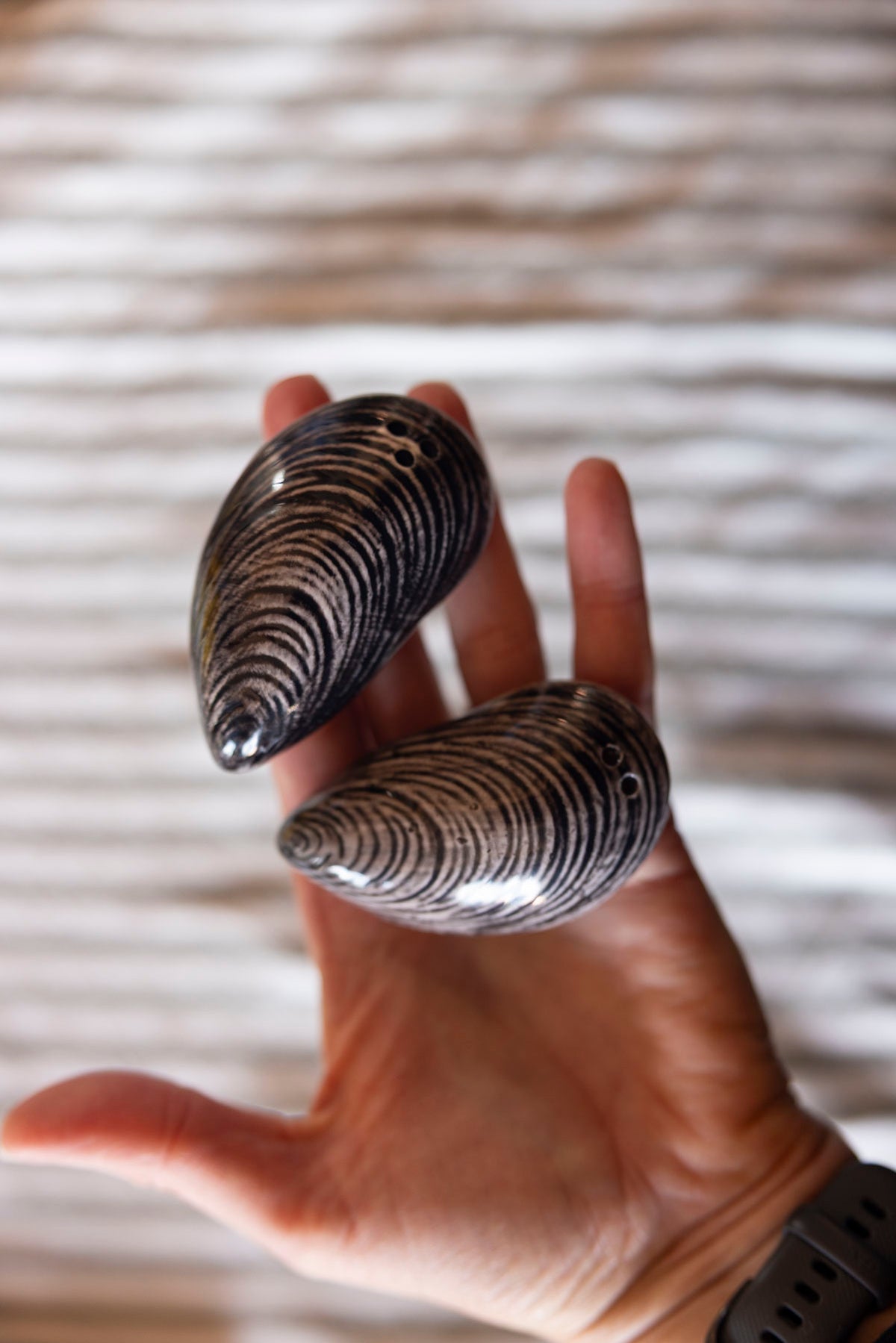 Salt & pepper mill: Mussel