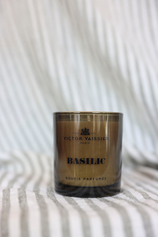 Doftljus Basilic